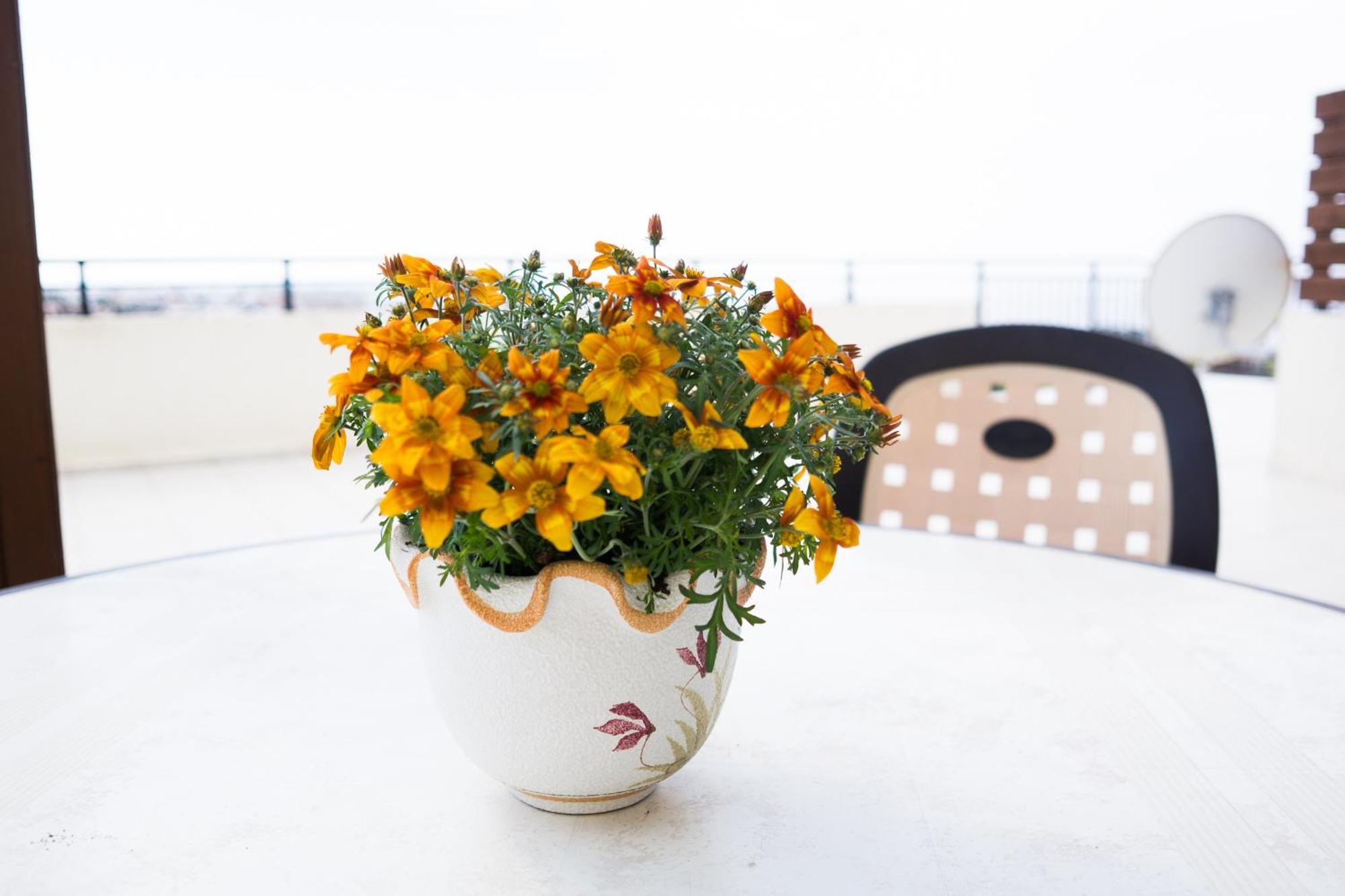 Eden Apartament Pafos